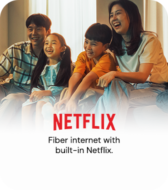 Netflix Bundles